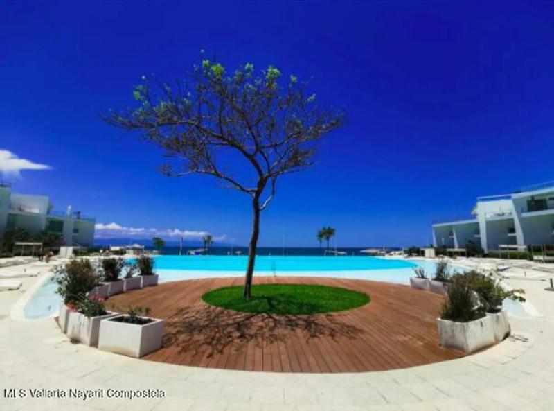 20260131172600011841000000 o