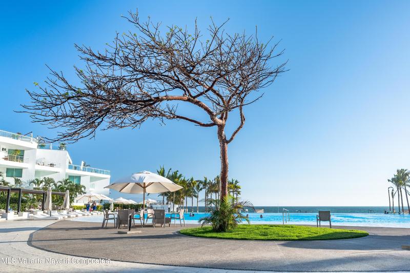 20251202164852627416000000 o