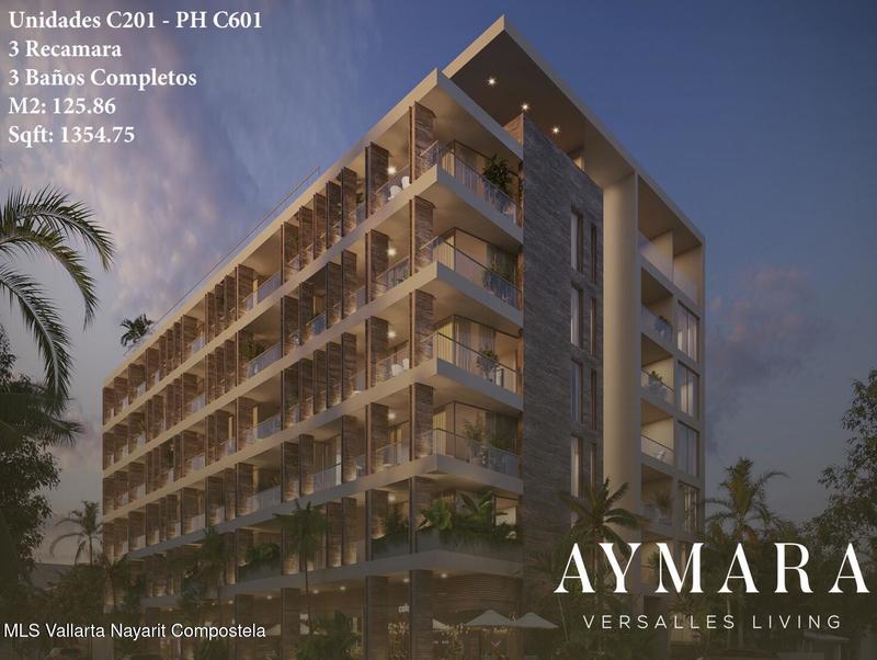 Aymara C201