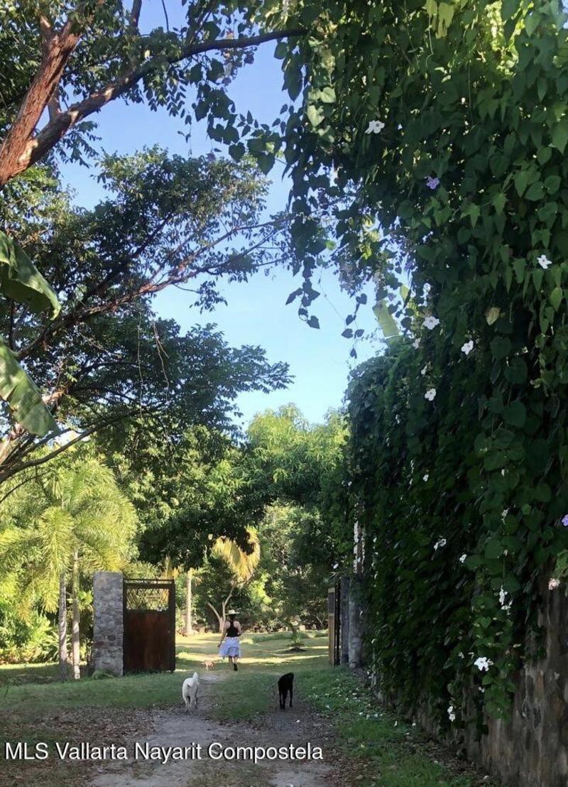 20251020211234428202000000 o