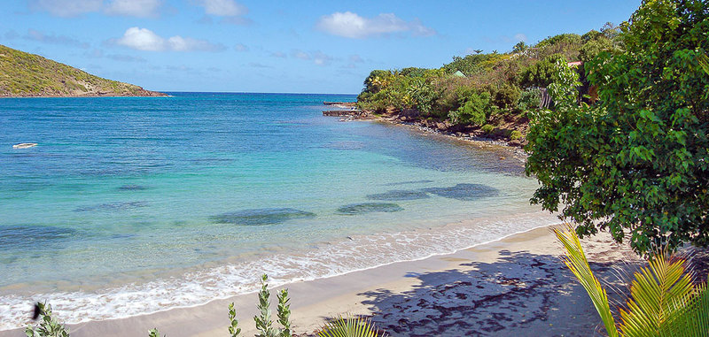 Buddha bay 15