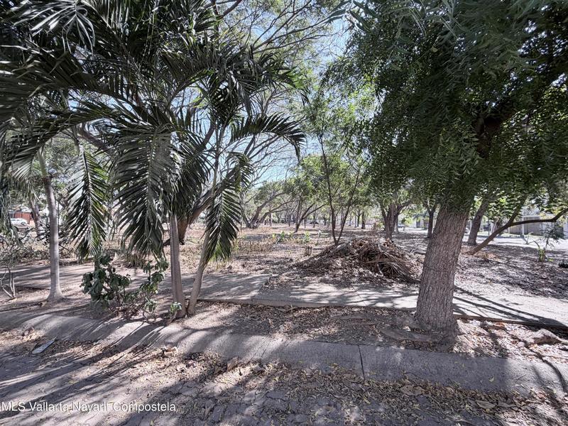 20260212000833720160000000 o