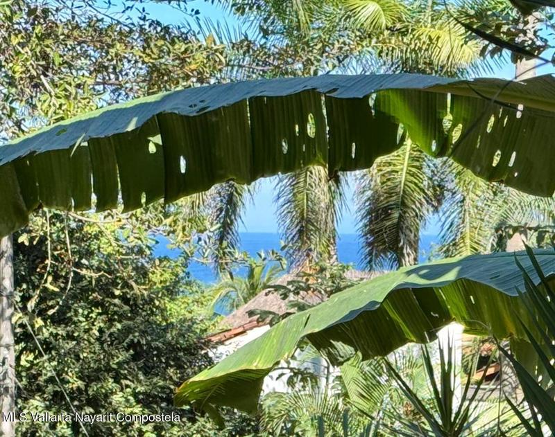 20250618185107757456000000 o