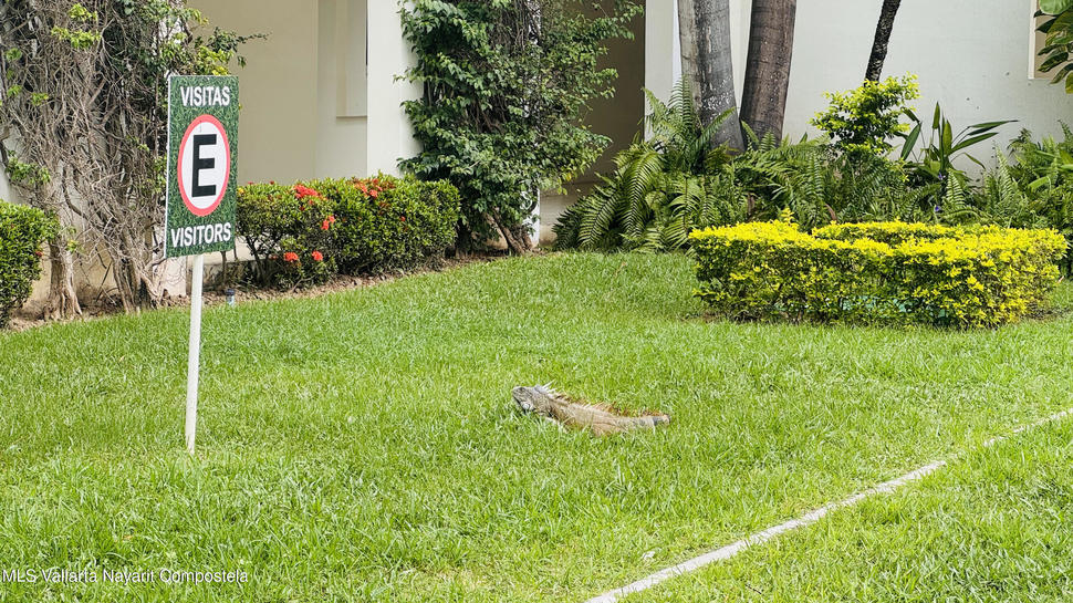 20250901183454299535000000 o