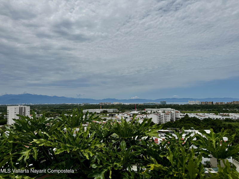 20250812225951245754000000 o