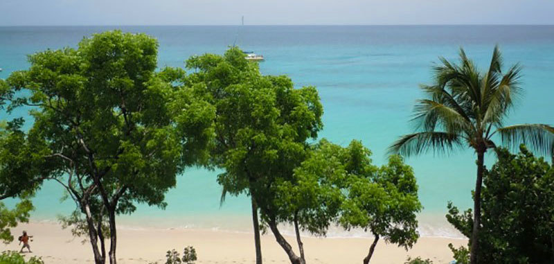 Coral cove15 02