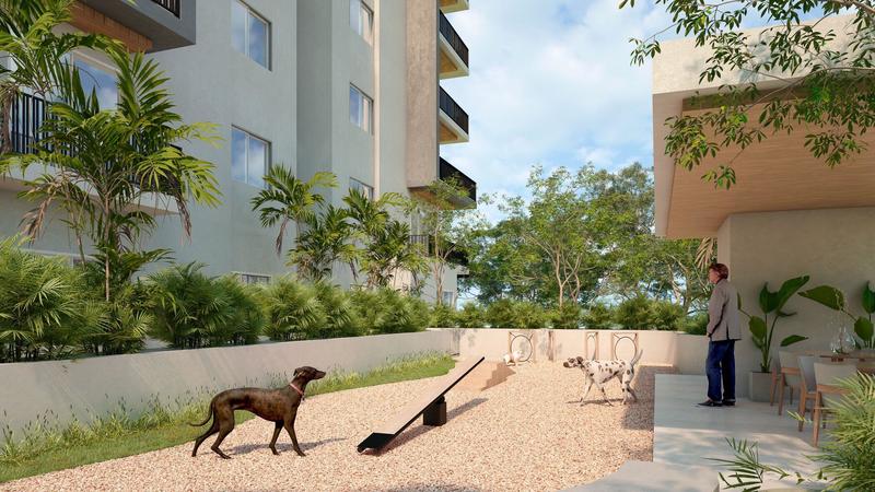 20250628175110921935000000 o