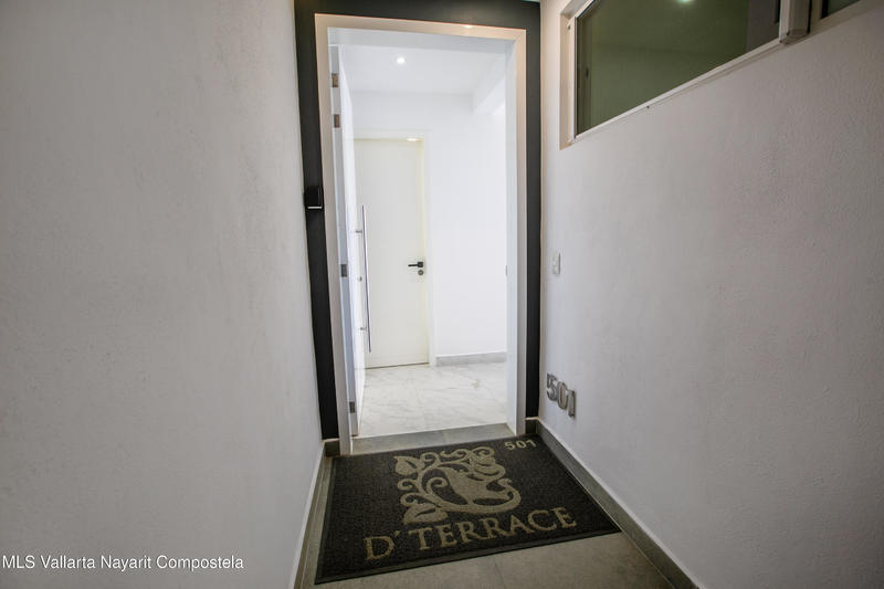 20260217231952569295000000 o