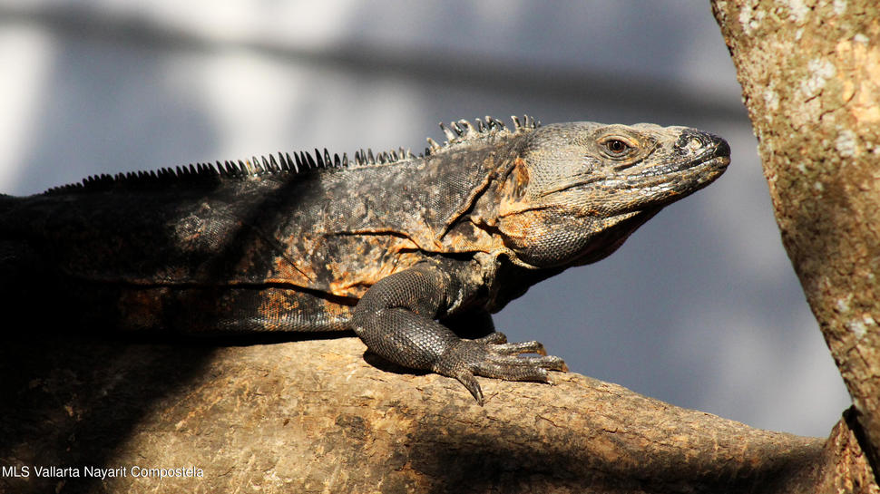 20250815170922977426000000 o