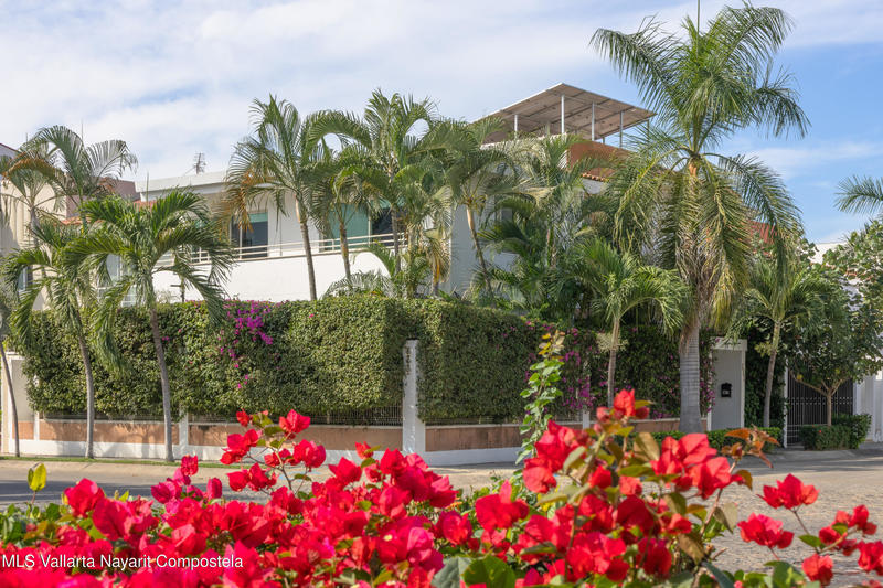 20260204220013745783000000 o