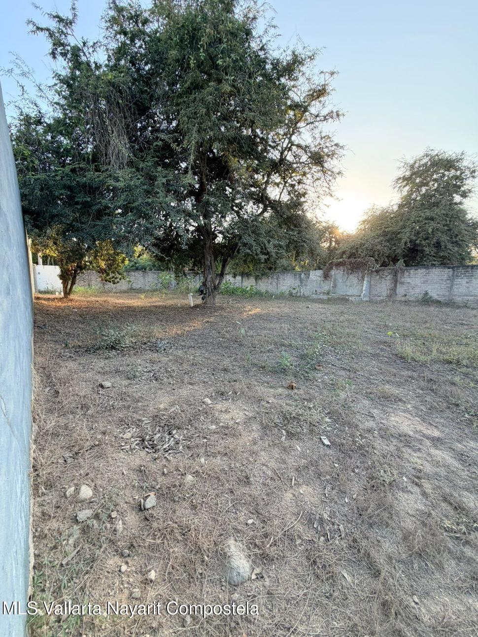 20260226163037405040000000 o