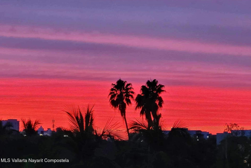 20251112221157869018000000 o