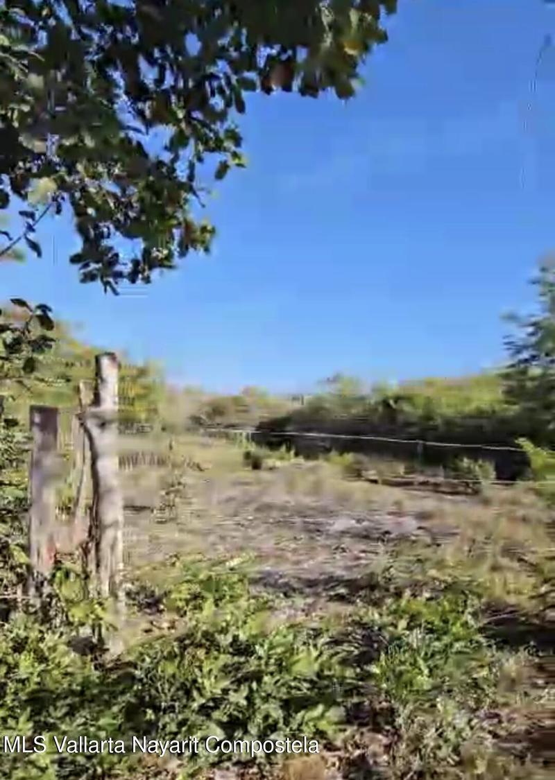 20251007180852817405000000 o