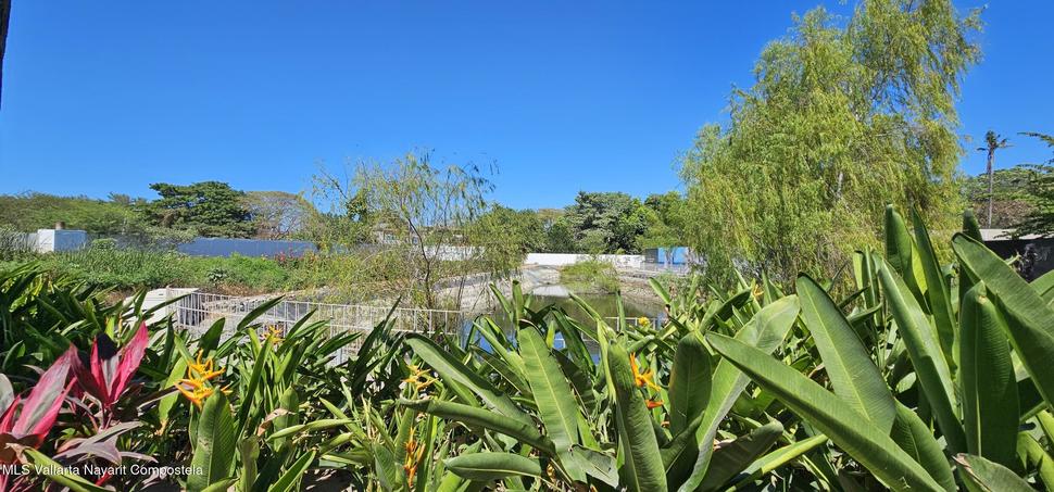 20260215012124821280000000 o