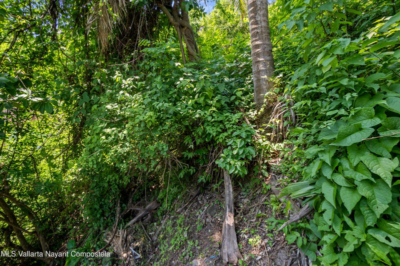 20250729045144200827000000 o