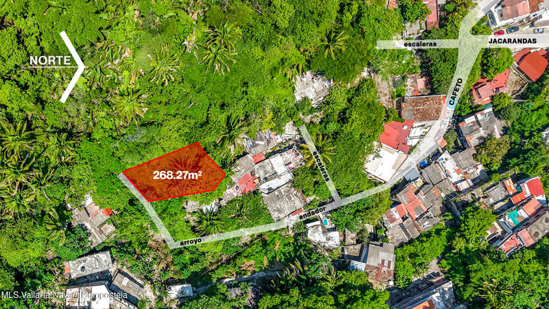 20250729050720351665000000 o