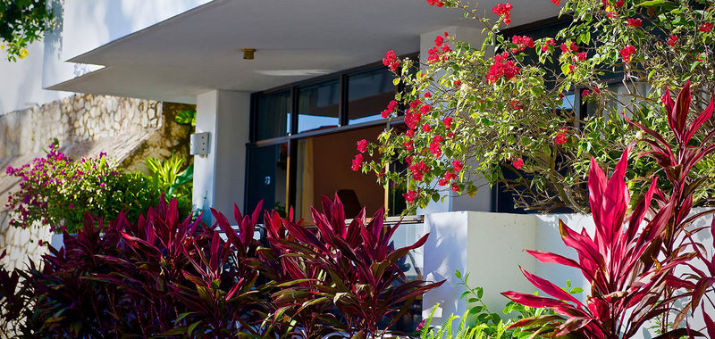Lajolla 6104 06