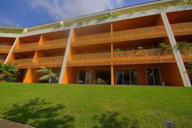 La Joya Huanacaxtle 216
