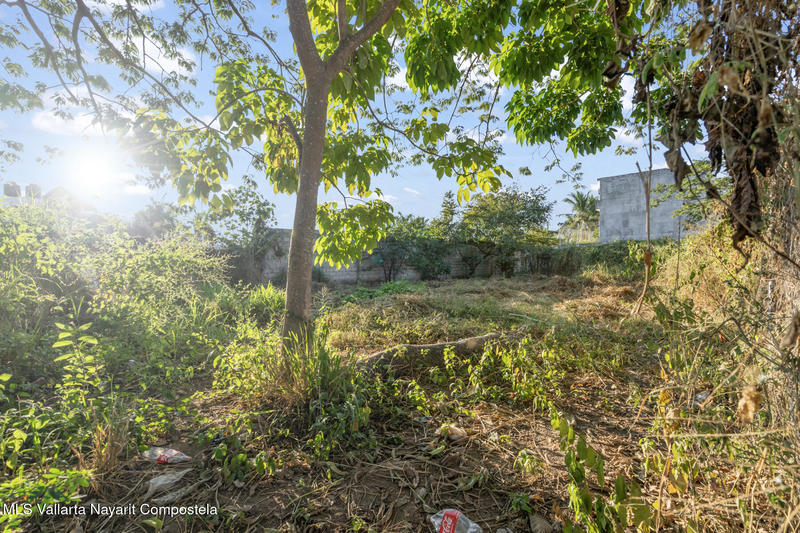 20251218142221640093000000 o