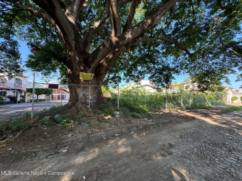 20250920171653995344000000 o