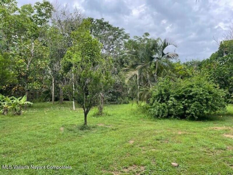 20260126181337258099000000 o