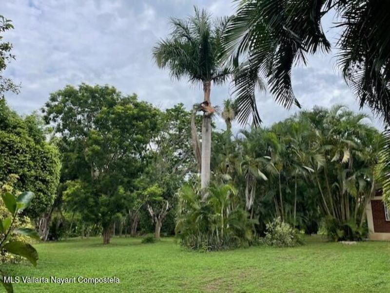 20260126181441135879000000 o