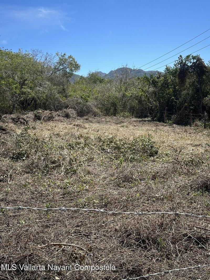 20260128154427771318000000 o