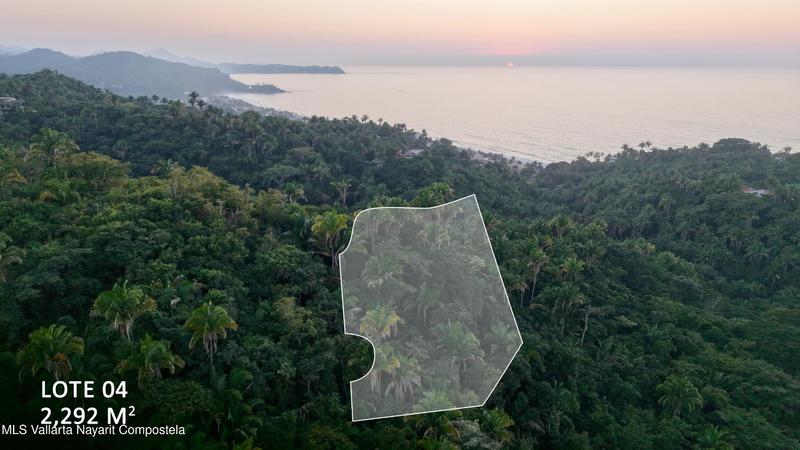 20251231175630485223000000 o