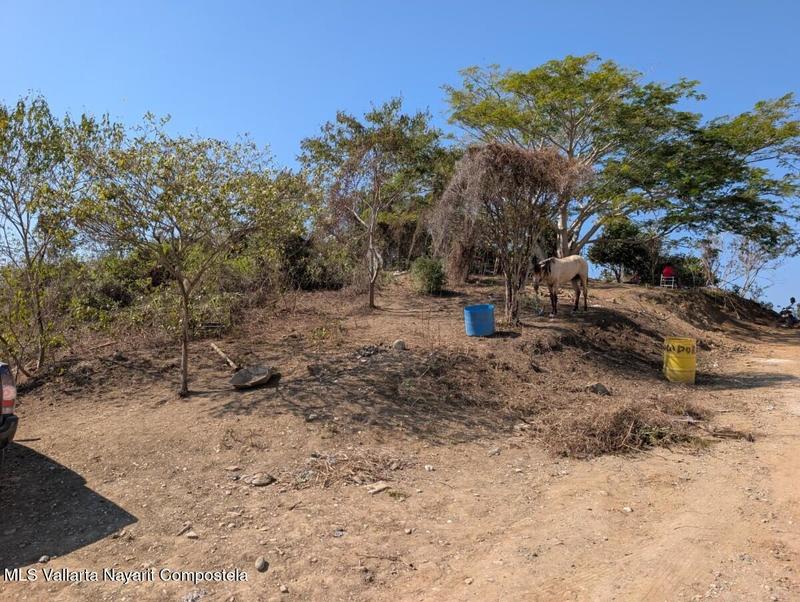 20260107222118109483000000 o