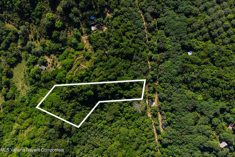 20251219171623424454000000 o