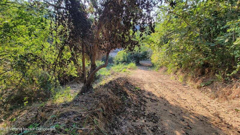 20260128000236564383000000 o