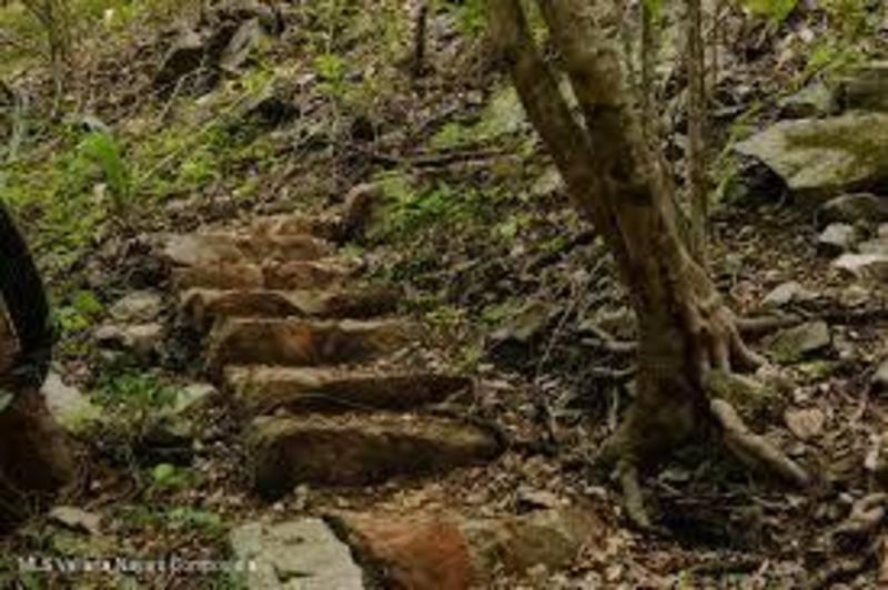 20260203202157020980000000 o