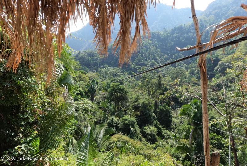 20260203202207772855000000 o