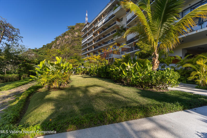 20251226204602195611000000 o