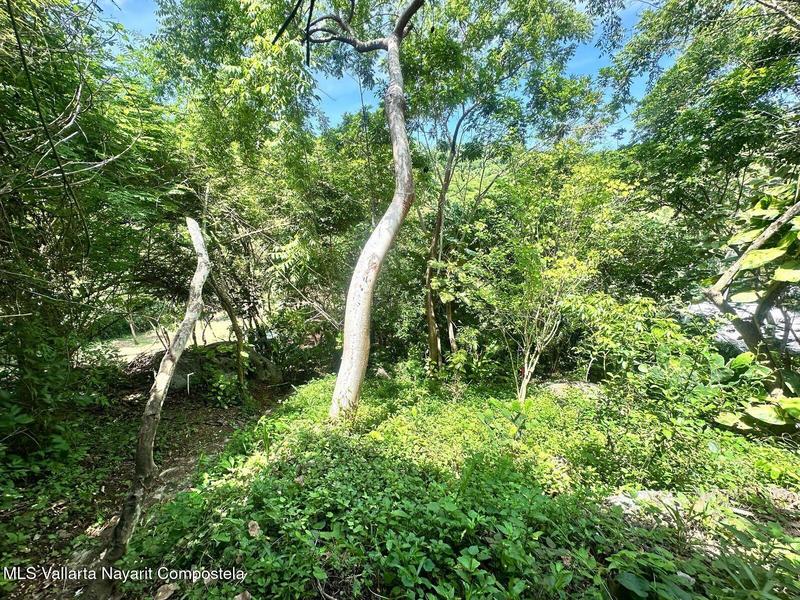 20250905154129102029000000 o