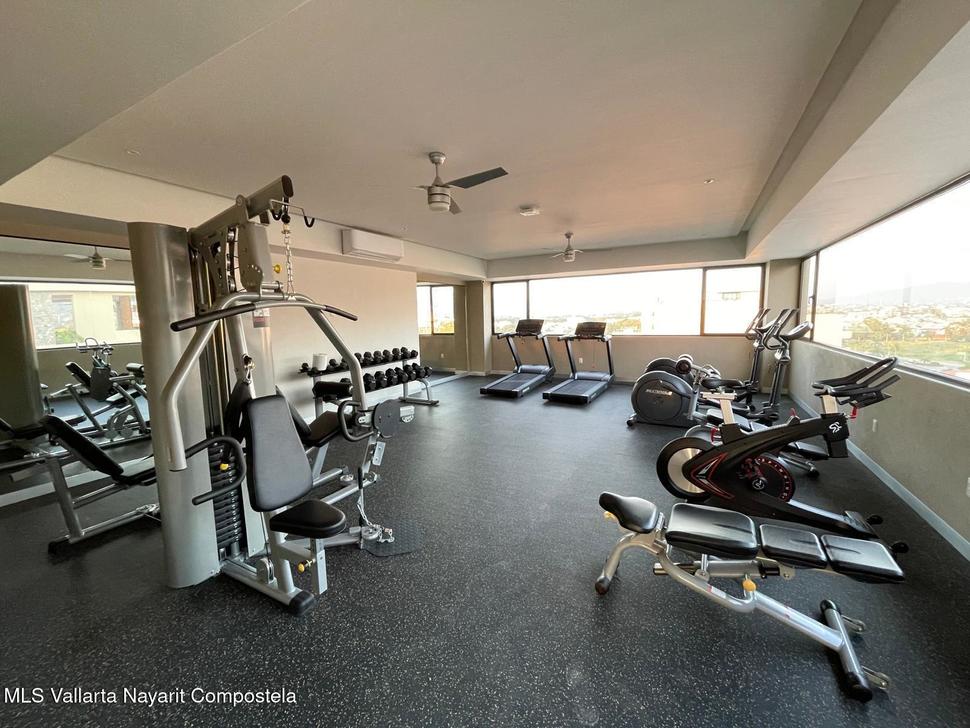 20260219191919333473000000 o