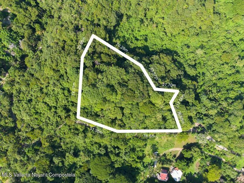 20251205173049293287000000 o