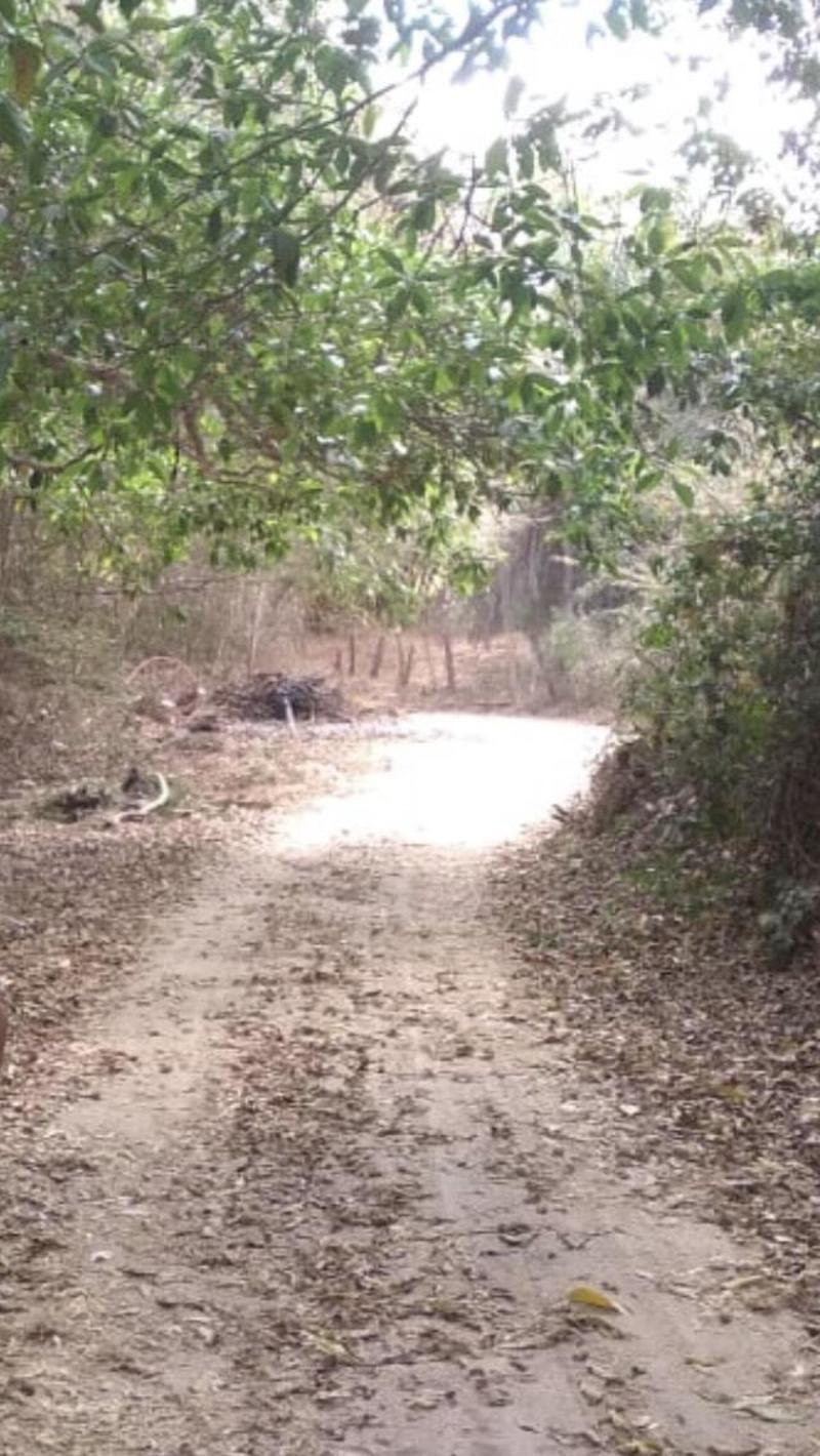 S/N Al Sur De Sayulita, Lote Sayulita, Riviera Nayarit, Na
