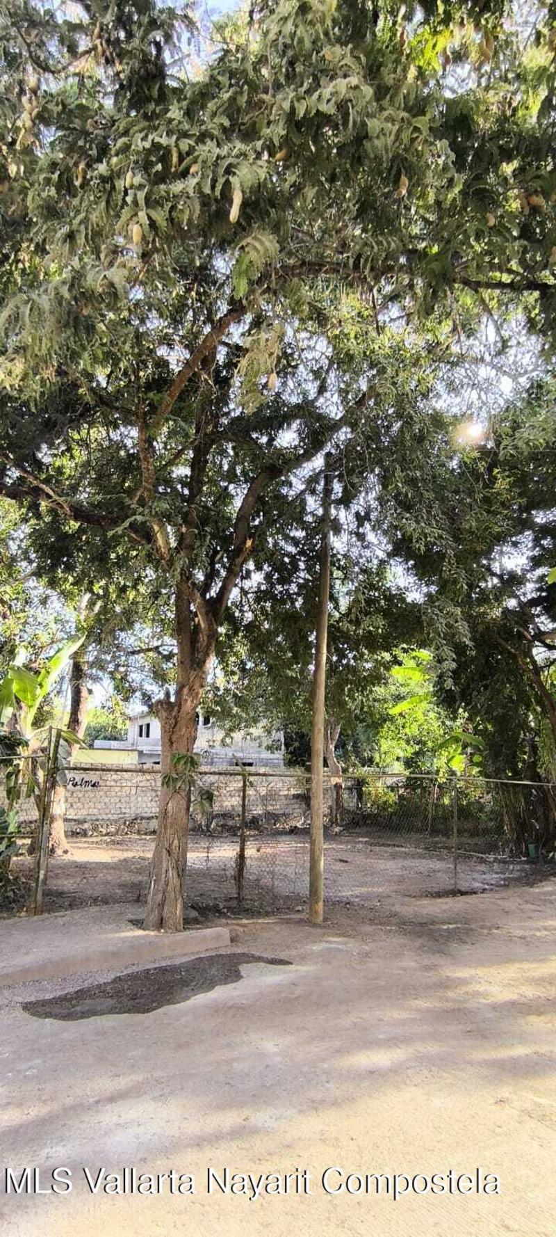 20260128182525141737000000 o