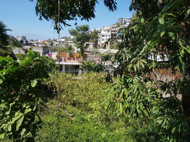 S/N Pipila, Lote Pipila, Puerto Vallarta, Ja