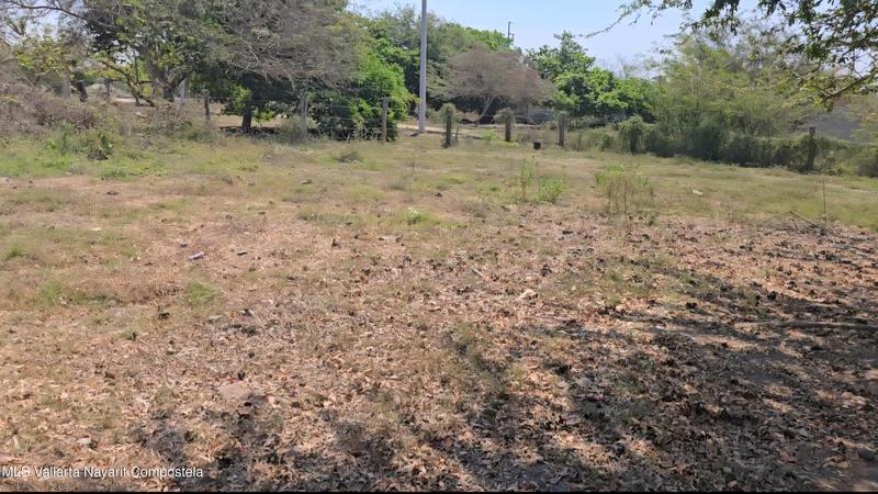 20250721181159139155000000 o