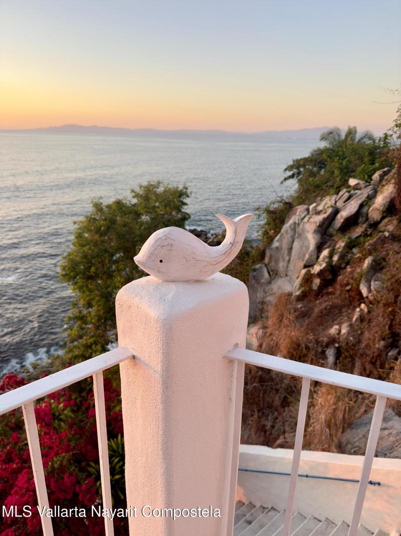 20250825183520802341000000 o