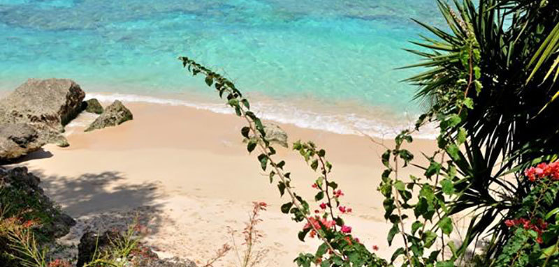 Secret cove 1 11