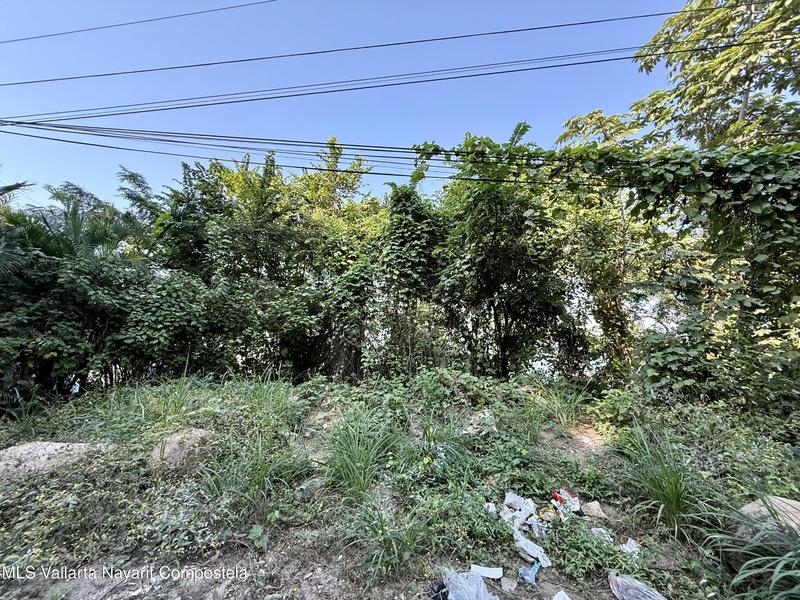 20251223220928981148000000 o