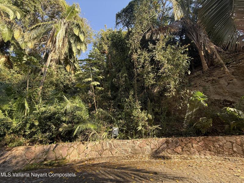 20250423001623345980000000 o