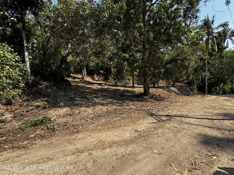 20250626192928163061000000 o