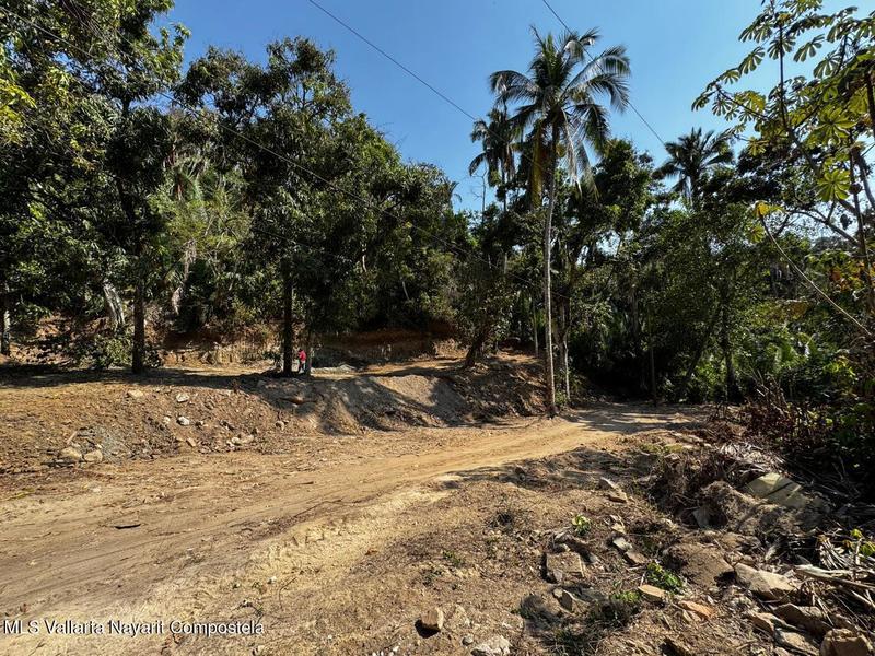 20250626192934537906000000 o