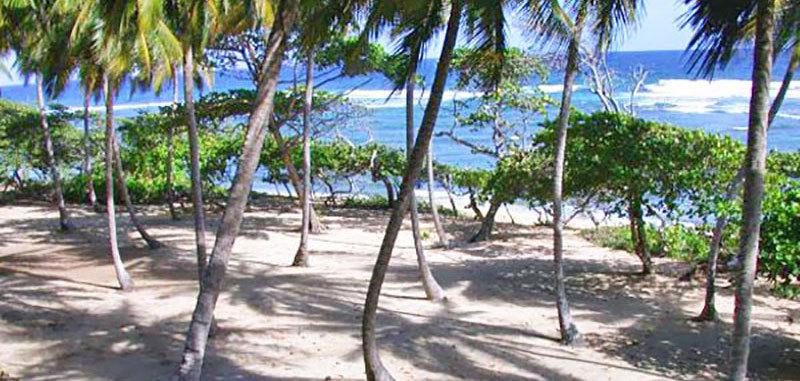 Sunrise villa 20