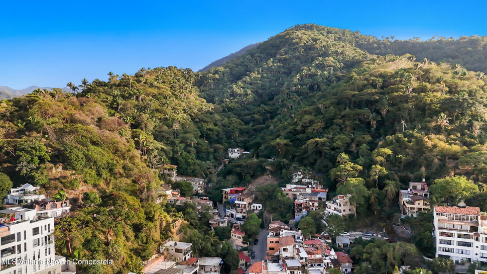 20260131045056722141000000 o